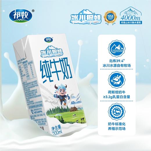 爆卖中🔥有奶皮子的祁牧·冰川钢娃纯牛奶生牛乳 进口荷斯坦奶牛 奶香浓厚蛋白含量卓越  4000m祁连山冰川融水灌溉牧场更纯净 商品图1