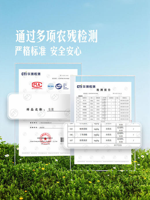 MM 山姆 供港生菜 600g 商品图3
