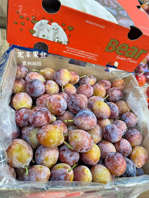 宏丰精选 智利西梅 大果，口感甜 活动价19.8一斤 商品图2