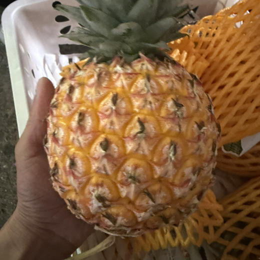 芒果凤梨 🍍纯甜多汁 凤梨味道浓郁23 /个 约2-2.2斤/个 商品图2