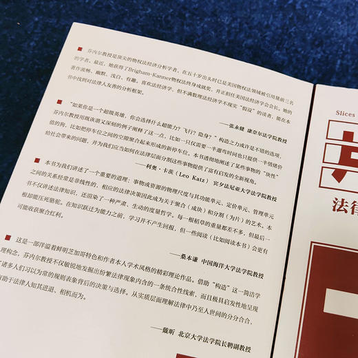片与块：法律与生活中的分割与聚合 李·安妮·芬内尔 著  马润艺 李冠男 译 北京大学出版社 商品图2