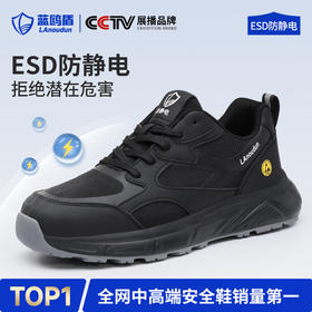 蓝鸥盾四季款新款防静电ESD低帮无包头无中底MD底