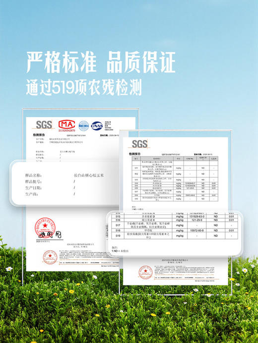 聚便利 X 山姆 长白山糖心糯玉米 1穗 商品图4