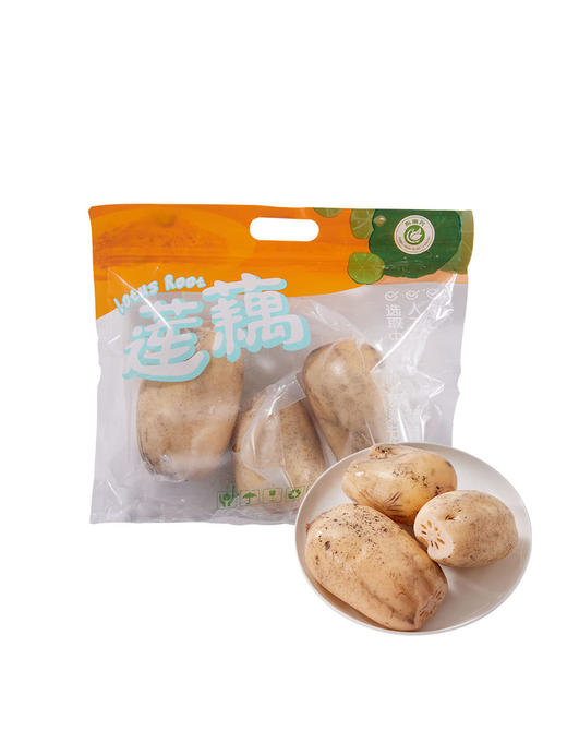 MM 山姆 莲藕 1kg 商品图0