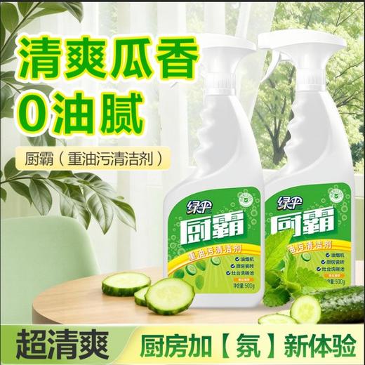 绿伞厨霸清洁剂强力去油污去重油除菌厨房卫生间瓷砖阳台厨房重油污克星 商品图1