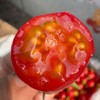 蛙语～高甜爆汁小番茄【净重约2斤】：超甜，爆汁，目前口感超一流的小番茄。 商品缩略图5
