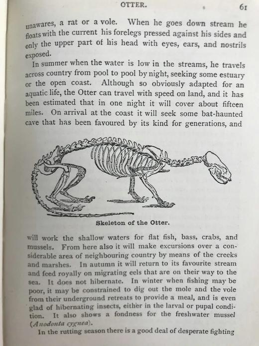 1921年 不列颠群岛动物生命图鉴 111余幅插图（48幅彩色） 精装64开 商品图14