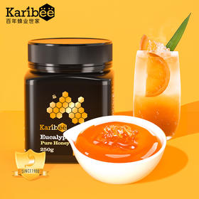 Karibee可瑞比桉树蜜TA15+ 250g*2瓶 红色礼盒
