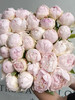 国产芍药-【羞涩女王】A+ 商品缩略图1