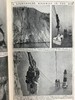 约20世纪早期 儿童百科全书（8卷） 数千幅插图 精装18开 商品缩略图14