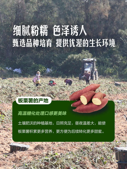 MM 山姆 康沙板栗薯 1kg 商品图4
