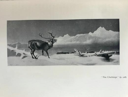 1902年 动物版画家兰西尔传 22幅插图 真皮精装36开 商品图14