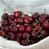 【山东美早大樱桃】烟台基地优质土壤+充足阳光+昼夜温差大，樱桃成熟度好，光泽感强，果肉厚实多汁，酸甜平衡，樱桃风味浓郁，适合送礼。净重2斤/箱，基地直采直发，江浙沪皖顺丰包邮~ 商品缩略图0