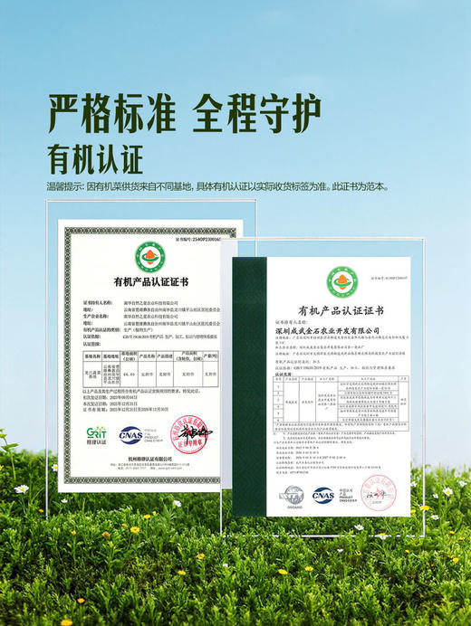 MM 山姆 有机西兰花 600g 商品图3