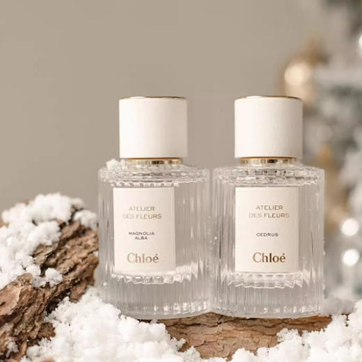 【香港免税店🇭🇰】香港直邮-Chloe 蔻依北国雪松 50ml 浓香 商品图6