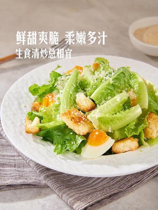 MM 山姆 有机罗马生菜 600g 商品图2
