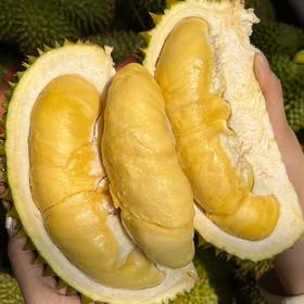 【斌哥优选】泰国进口甲仑鲜榴莲，味道狂野，回味似蜜，未经改良老品种。到手需先辨生熟，生劈不售后哦~