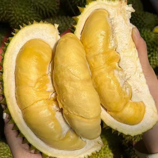 【斌哥优选】泰国进口甲仑鲜榴莲，味道狂野，回味似蜜，未经改良老品种。到手需先辨生熟，生劈不售后哦~ 商品图0