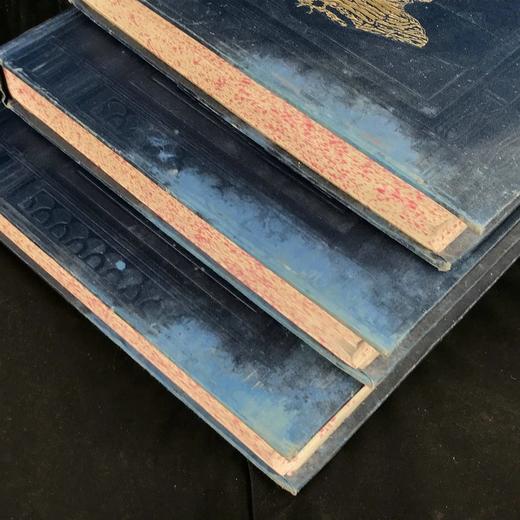 约20世纪早期 哈默顿《往昔的奇迹》（全3卷） 1500余幅插图（约120幅彩色） 漆布精装16开 商品图2