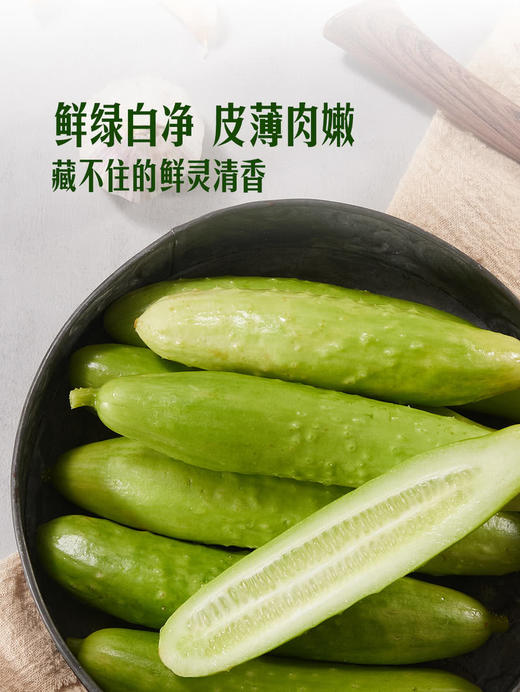 MM 山姆 奶油小黄瓜 850g 商品图4