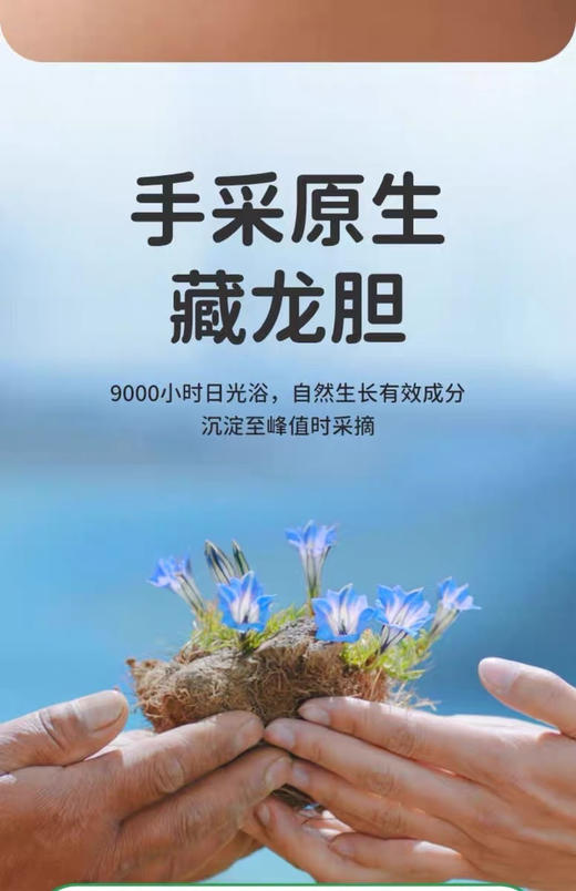 【Greennose绿鼻子紫草贴】春夏刚需❗49.8💰到手2盒共60枚 商品图5