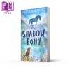 【中商原版】暗影小马 David Litchfield The Shadow Pony 英文原版 儿童文学 黑白插图中级小说故事 感人至深 进口童书 9岁+ 商品缩略图1