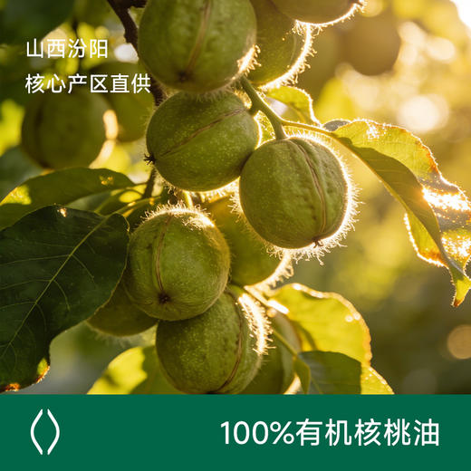 【宝宝辅食】应物有机核桃油 低温冷榨一级质量热炒点蘸调味食用油125ml/瓶 商品图2