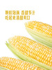 MM 山姆 水果甜玉米 1.5kg 商品缩略图2