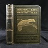 1921年 不列颠群岛动物生命图鉴 111余幅插图（48幅彩色） 精装64开 商品缩略图0