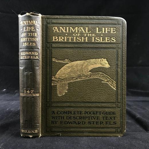 1921年 不列颠群岛动物生命图鉴 111余幅插图（48幅彩色） 精装64开 商品图0