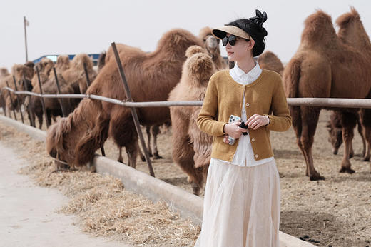 【一年一次优驼初段乳】【100%纯驼奶粉】双有机认证，新疆阿克苏柯坪县双驼峰骆驼，北纬41度黄金牧场 商品图1