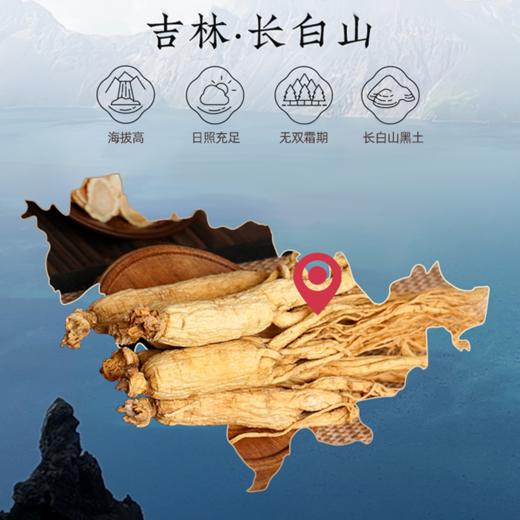 20g/盒 全须生晒参/20g*4盒礼袋款 商品图1