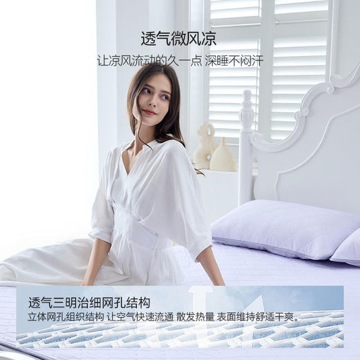 【凉感床垫&床笠】Domiamia成人凉感床垫（床垫款&床笠款） 商品图3