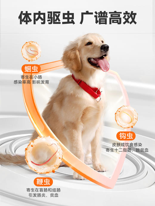 普安特狗狗驱虫药体内驱虫狗宠物驱虫犬用内驱虫狗米尔贝肟爱可净 商品图3
