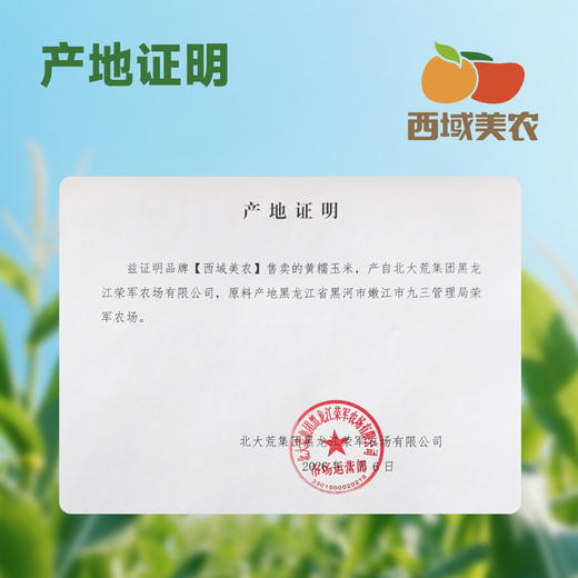 西域美农糯玉米240g*8根 东北黄糯玉米棒 低脂粗粮 早餐苞米 杂粮 商品图2