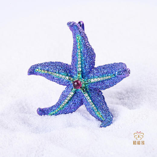 母亲节众筹《柔软的力量》钛金海星胸针 商品图1