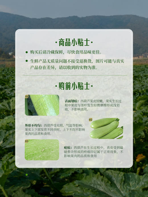 MM 山姆 翠绿西葫芦 1kg 商品图6