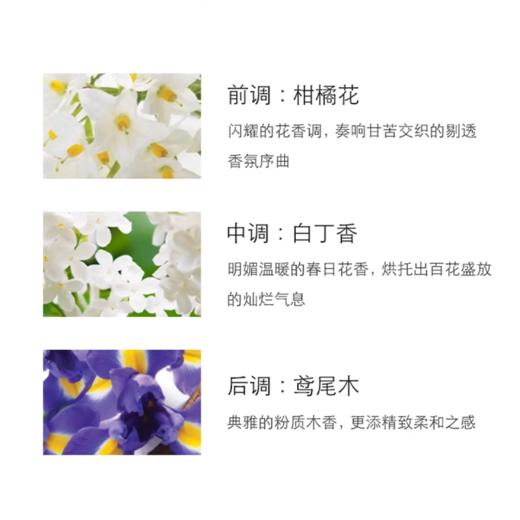 【春季焕新】【香港免税店🇭🇰】Jo Malone London祖玛珑鼠尾草/蓝风铃香水100ml·香港直邮 商品图4