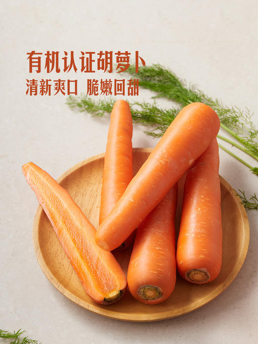 MM 山姆 Member's Mark 有机胡萝卜 1kg 商品图4