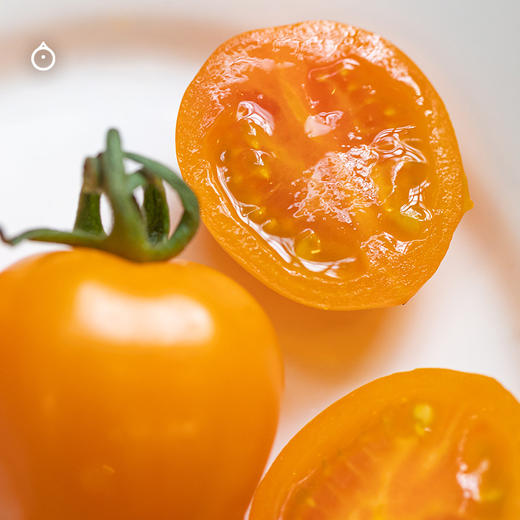 7天内发 企鹅市集|山东潍坊 斑斓小番茄盲盒 随机到手6个品种 优秀培育品种 滋味浓郁集中 商品图12