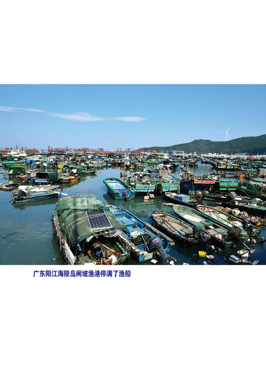 绝妙下酒菜（III 鱼）    休闲读品2026年第一期 商品图1