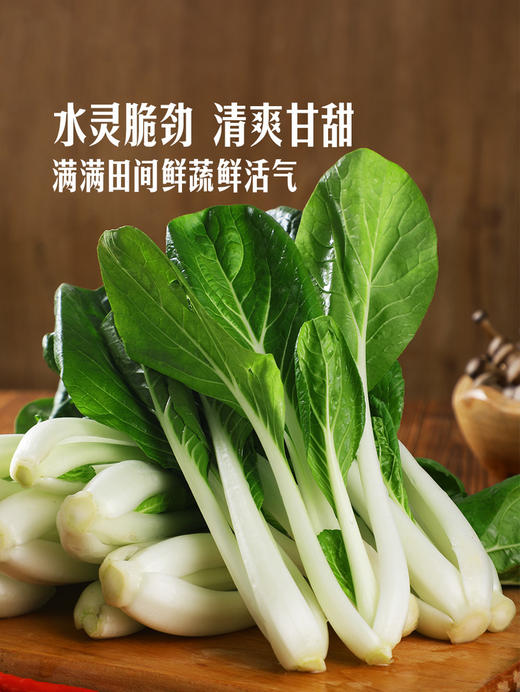 MM 山姆 有机小白菜 600g 商品图4