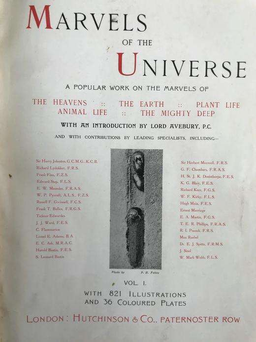 约20世纪早期 宇宙的奇迹（全2卷） 36幅彩色插图821幅黑白插图 精装16开 商品图2