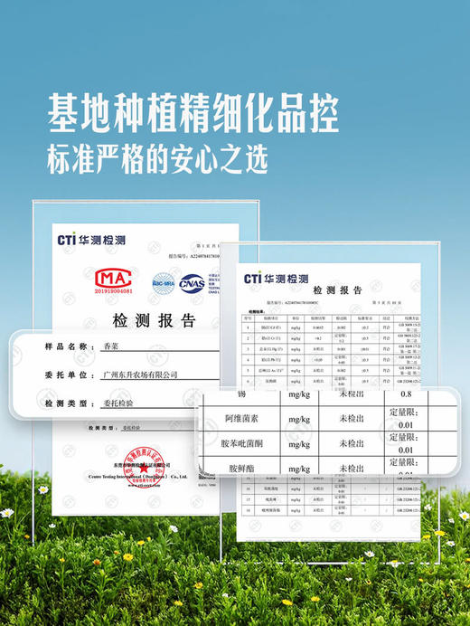 MM 山姆 东升 供港香菜 125g 商品图3