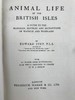 1946年 不列颠群岛动物生命图鉴 111余幅插图（48幅彩色） 精装36开 商品缩略图3