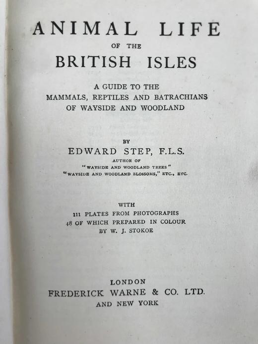 1946年 不列颠群岛动物生命图鉴 111余幅插图（48幅彩色） 精装36开 商品图3