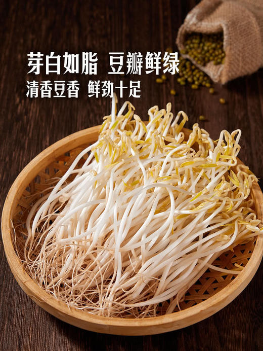 MM 山姆 有机绿豆芽 600g 商品图4