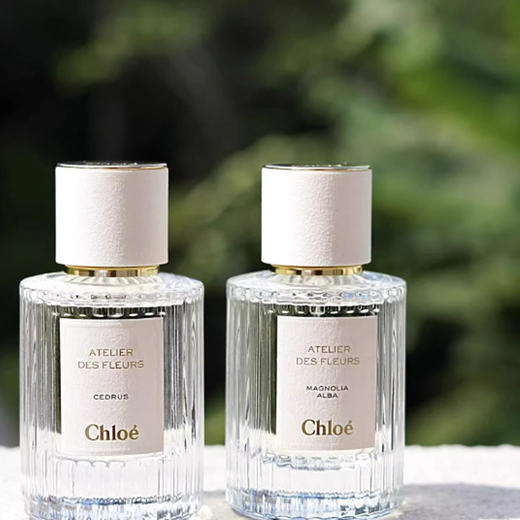 【香港免税店🇭🇰】香港直邮-Chloe 蔻依北国雪松 50ml 浓香 商品图3