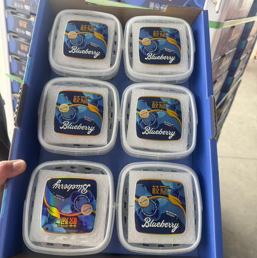 枝冠🫐蓝莓 净果450g  脆甜带花香  37.9/蓝 预定价 规格15+ 商品图3