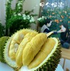 【斌哥优选】泰国进口甲仑鲜榴莲，味道狂野，回味似蜜，未经改良老品种。到手需先辨生熟，生劈不售后哦~ 商品缩略图1